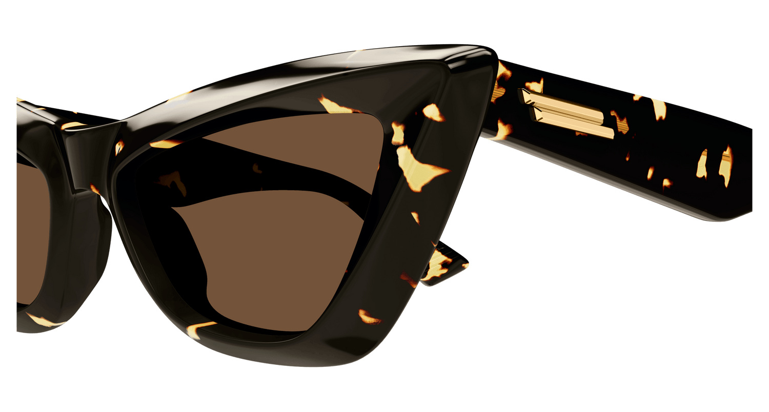 Bottega Veneta BV1101S 002 53