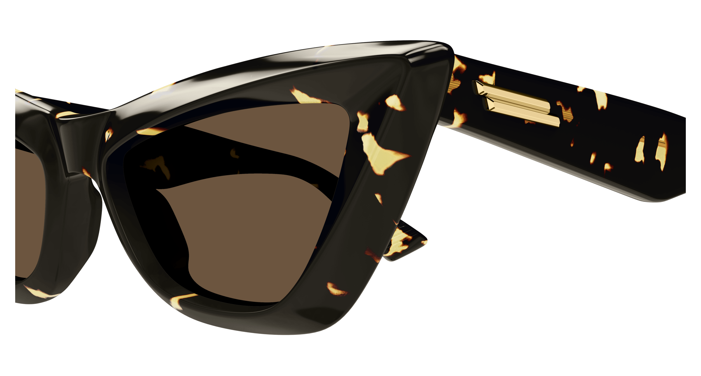 Bottega Veneta BV1101S 002 53