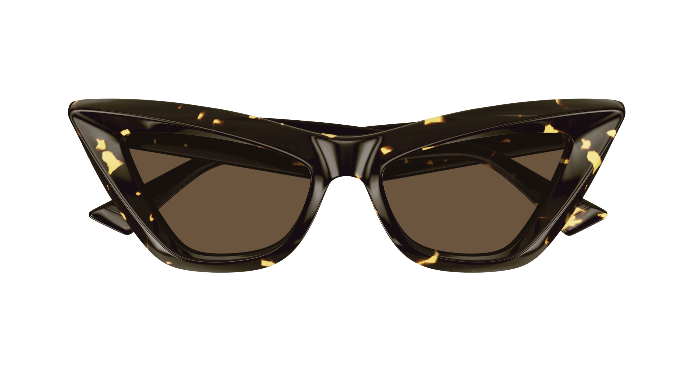 Bottega Veneta BV1101S 002 53