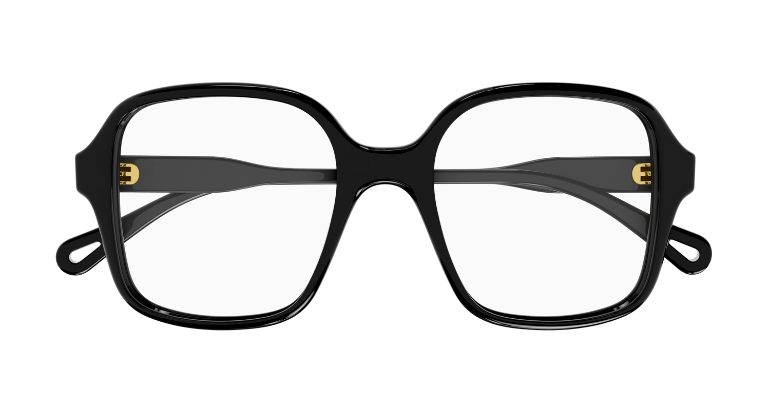 CHLOÉ CH0126O 001 49