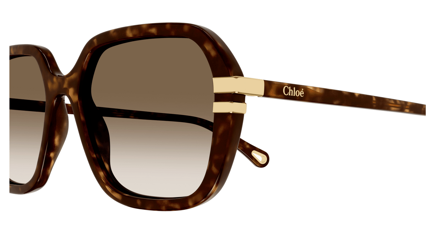 CHLOÉ CH0204S 002 57