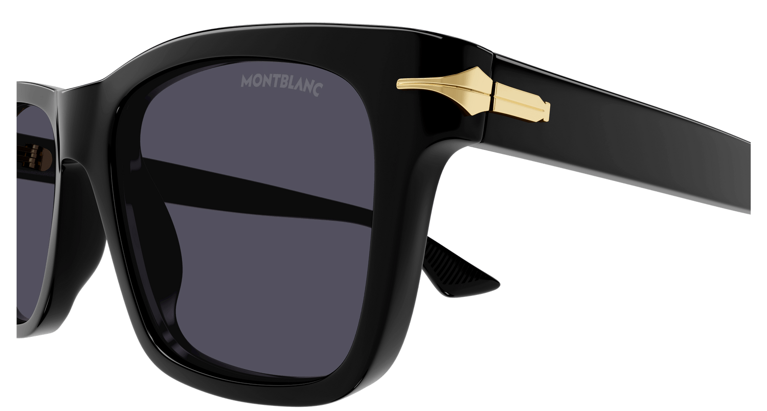 MONTBLANC MB0263S 001 54