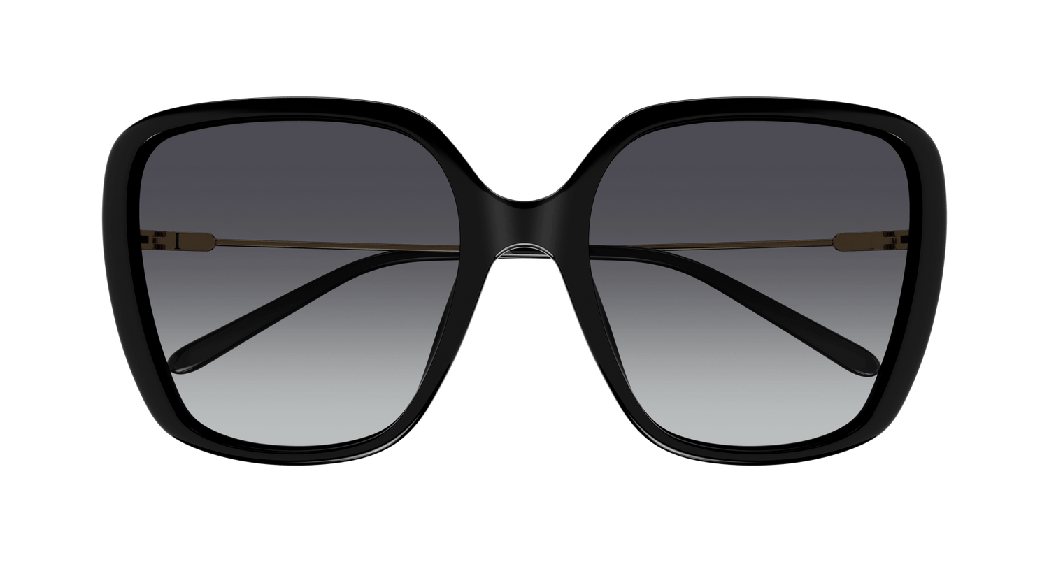 CHLOÉ CH0173S 001 57