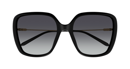 CHLOÉ CH0173S 001 57