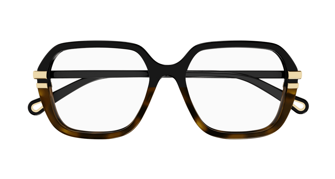 CHLOÉ CH0205O 003 53