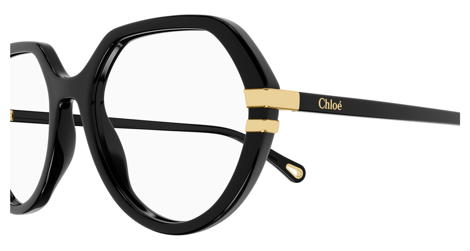 CHLOÉ CH0206O 001 54