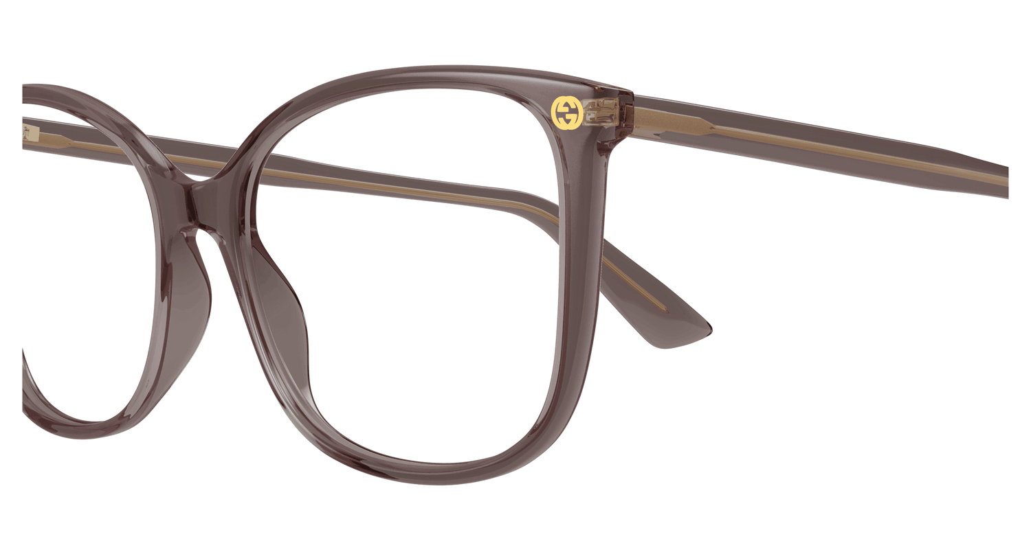 GUCCI GG0026O 019 53