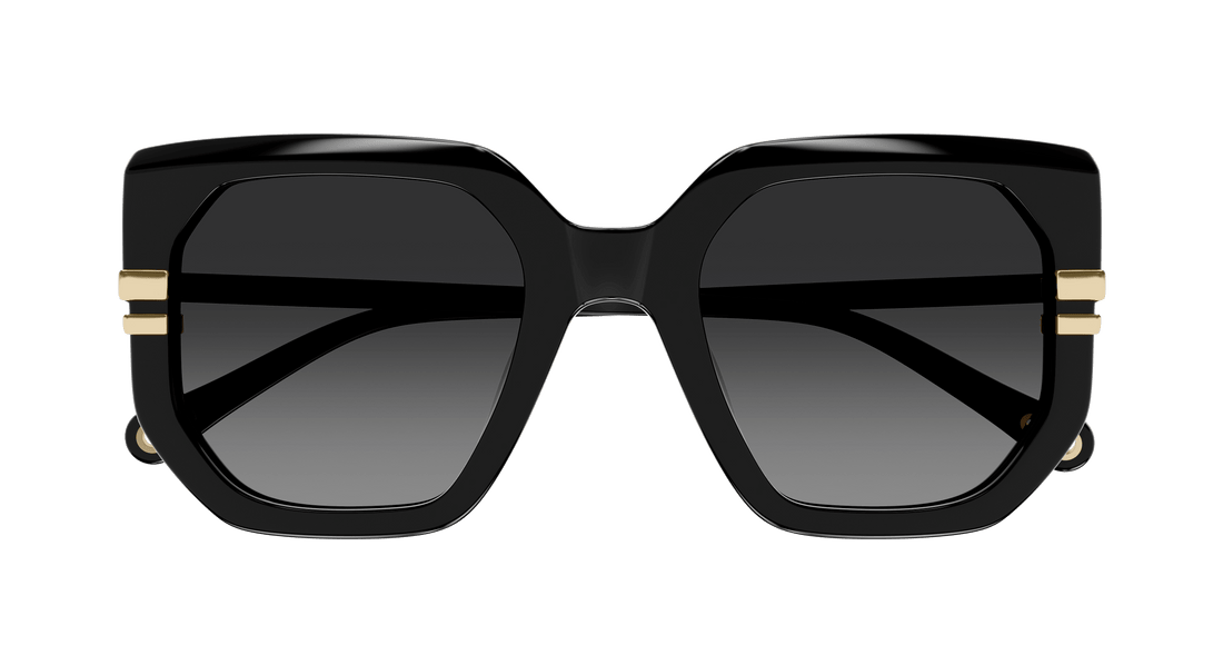 CHLOÉ CH0240S 001 53