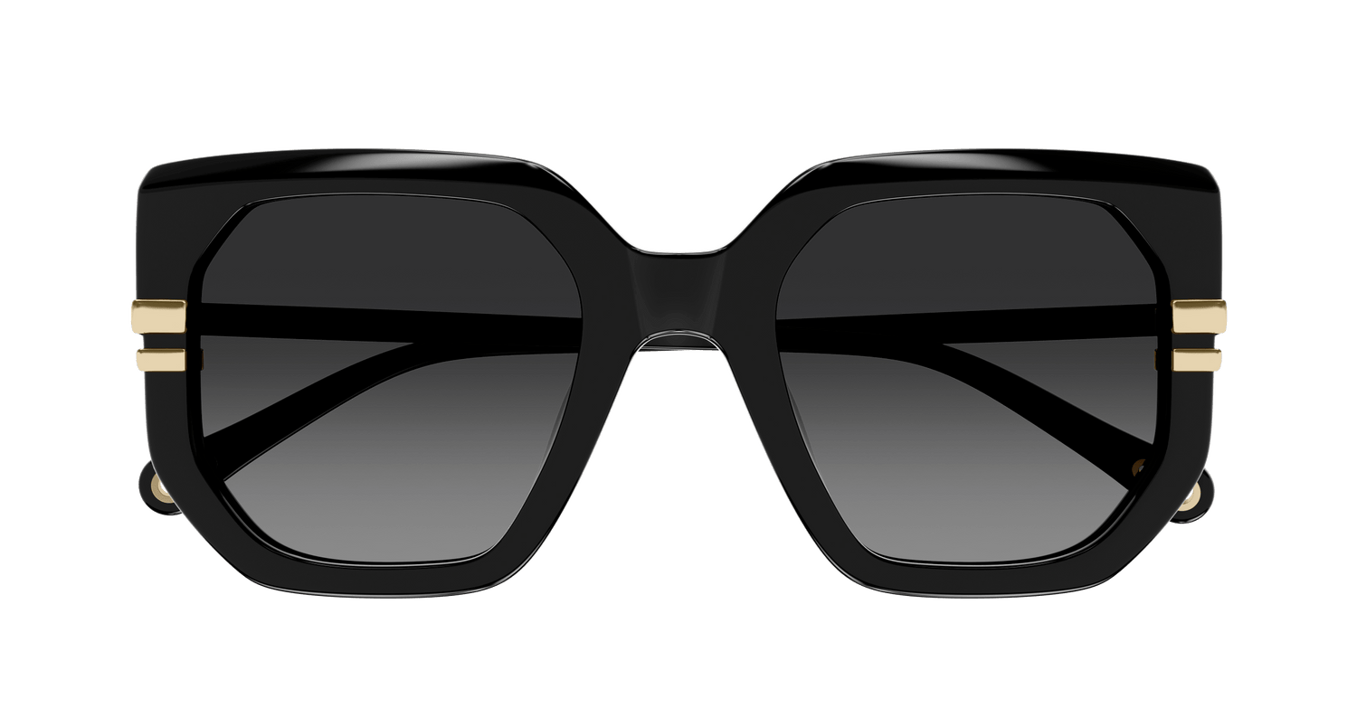 CHLOÉ CH0240S 001 53