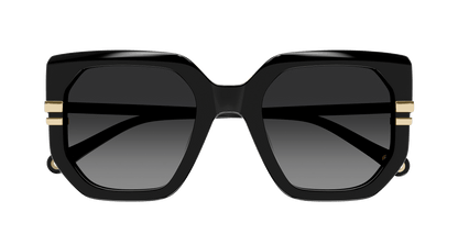 CHLOÉ CH0240S 001 53