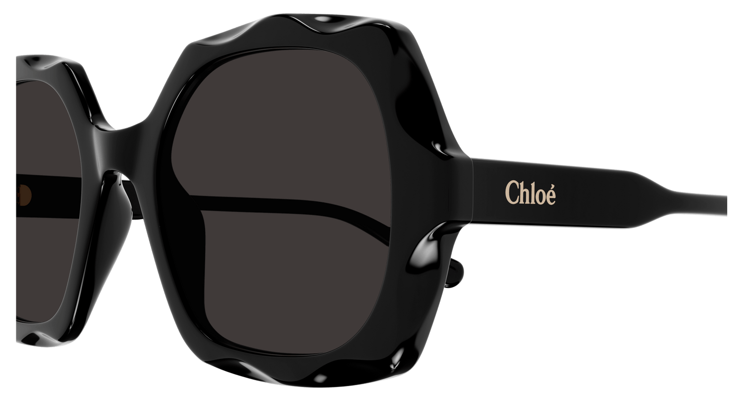 CHLOÉ CH0226S 005 53