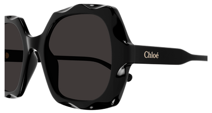 CHLOÉ CH0226S 005 53