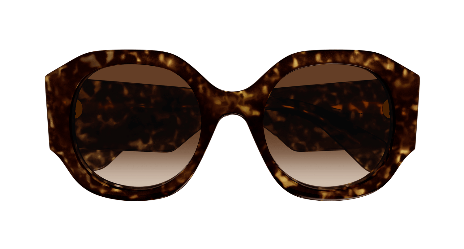 CHLOÉ CH0234S 002 53