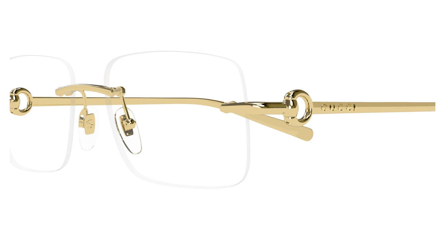 GUCCI GG1703O 003 55