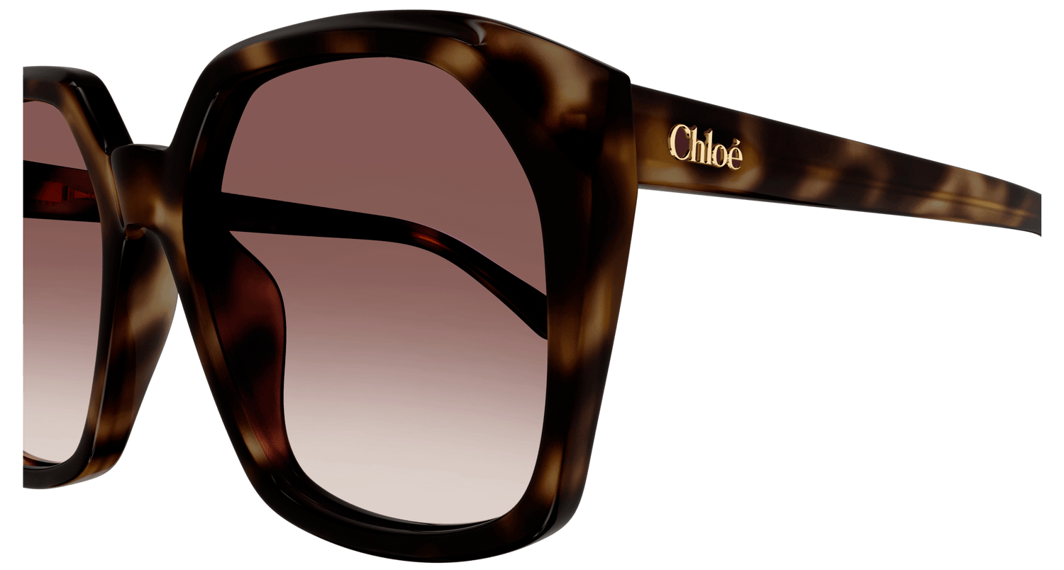 CHLOÉ CH0280S 006 57