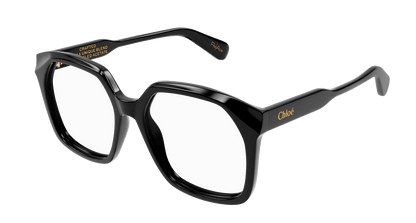 CHLOÉ CH0263O 001 55