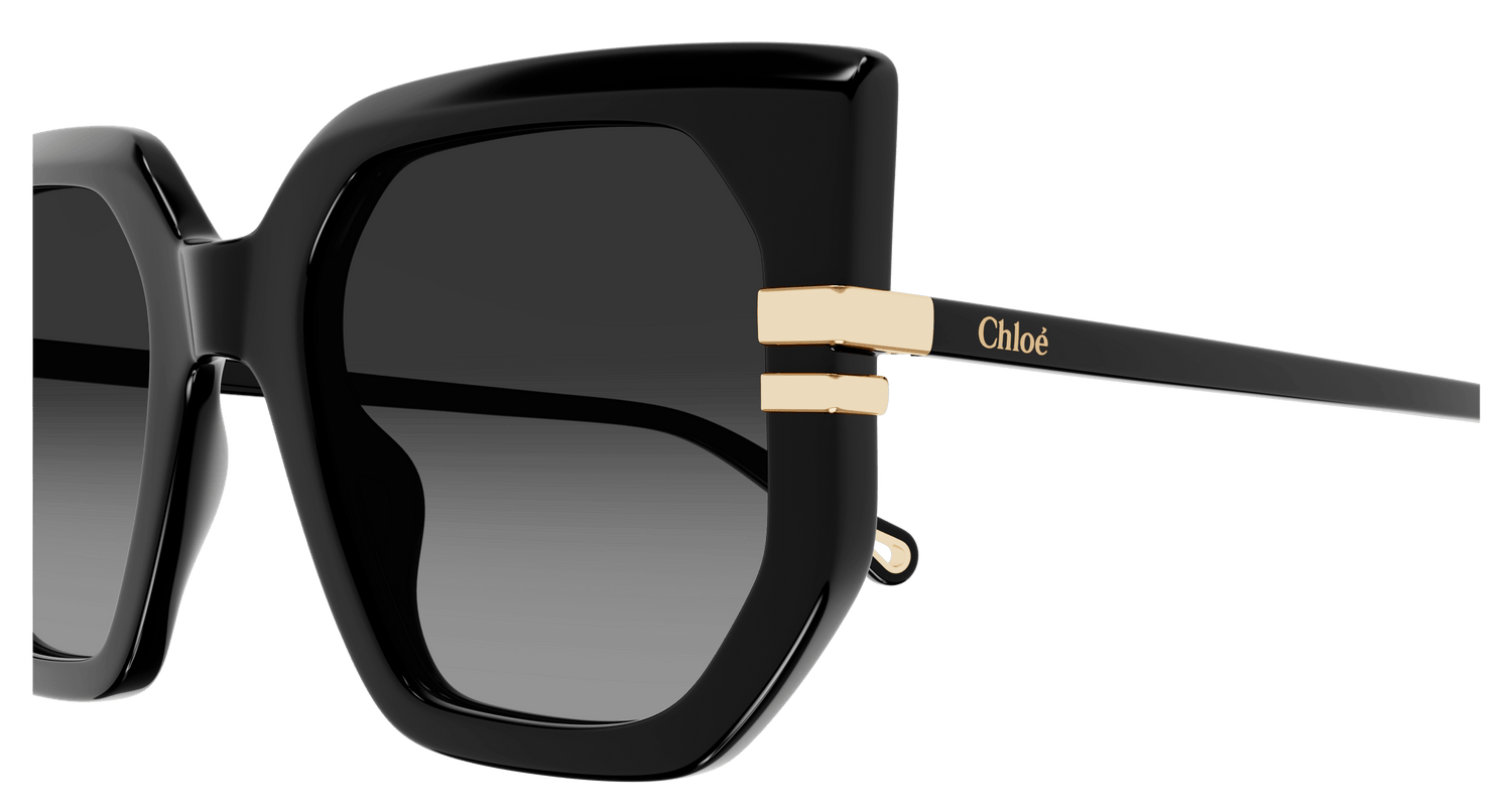 CHLOÉ CH0240S 001 53