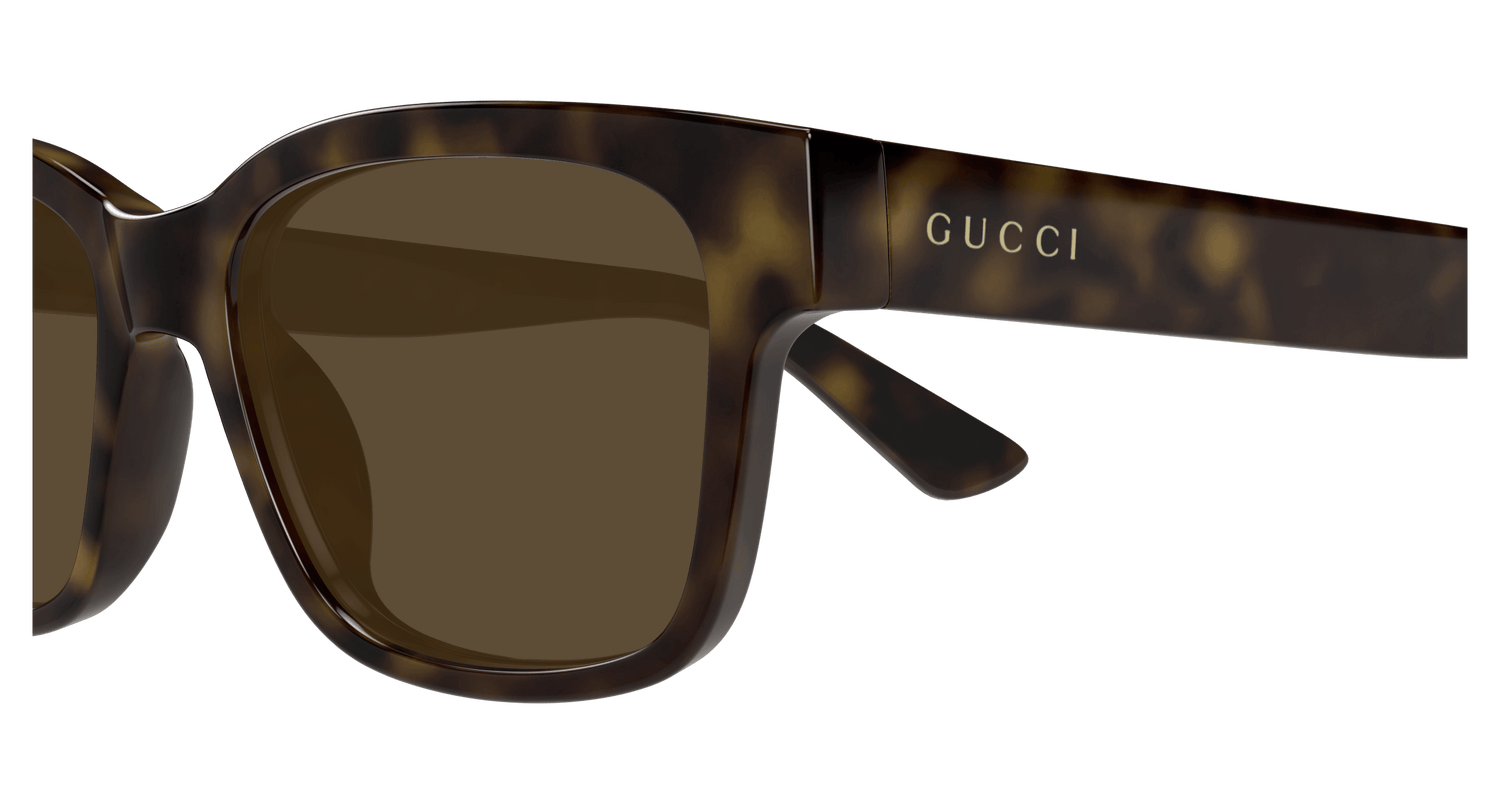 GUCCI GG1716S 002 54