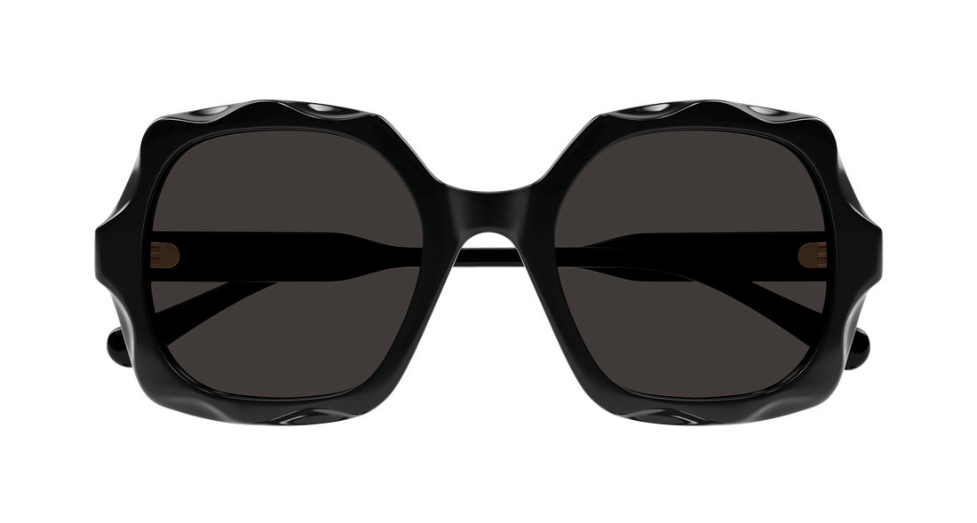 CHLOÉ CH0226S 005 53