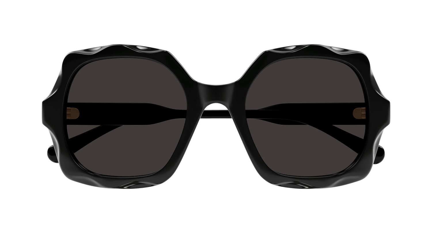 CHLOÉ CH0226S 005 53