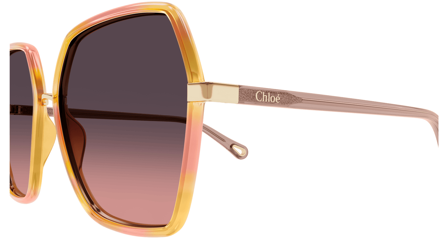 CHLOÉ CH0262S 003 58