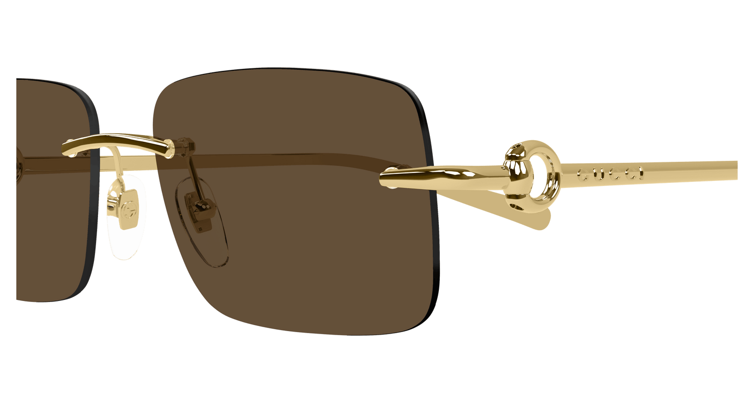 GUCCI GG1703S 004 55