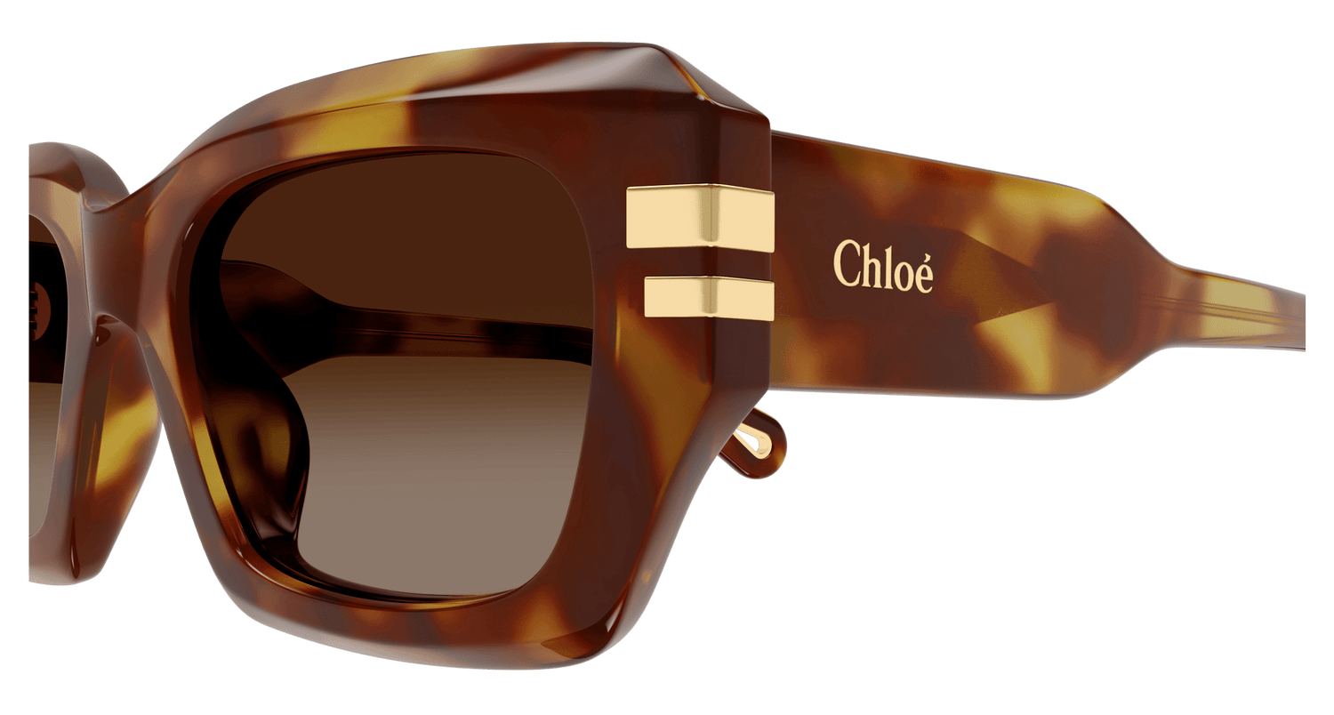 CHLOÉ CH0256S 002 53
