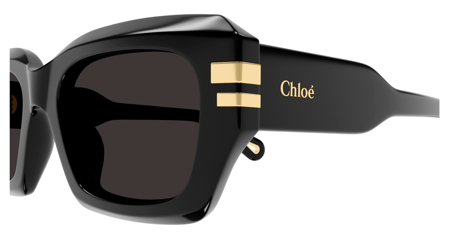 CHLOÉ CH0256S 001 53