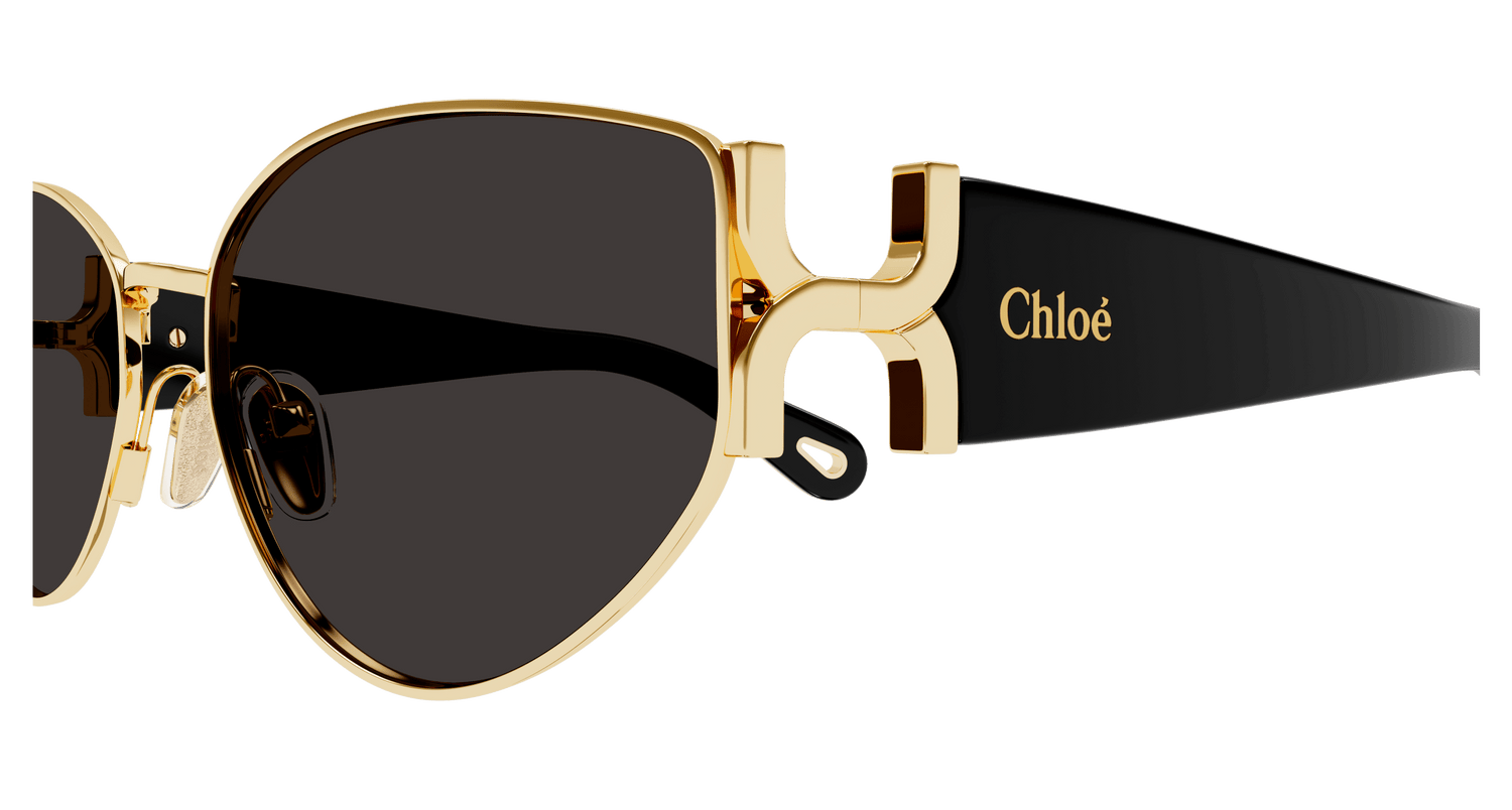 CHLOÉ CH0260S 001 59