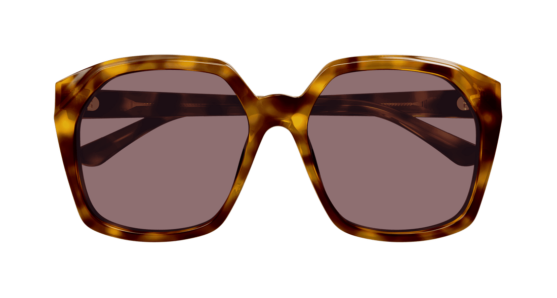 CHLOÉ CH0280S 004 57