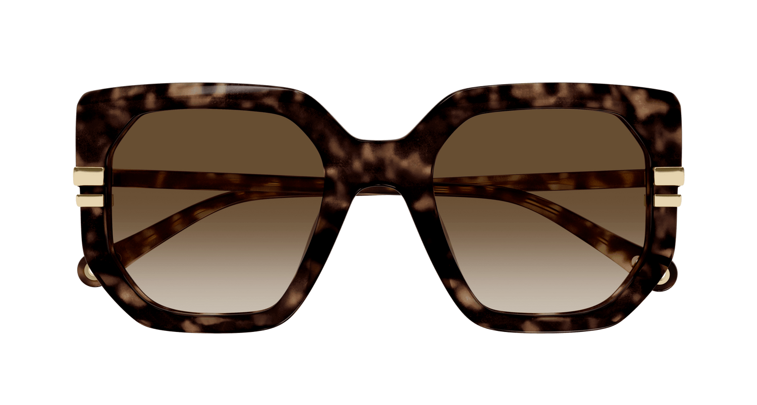 CHLOÉ CH0240S 002 53