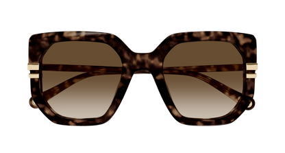 CHLOÉ CH0240S 002 53