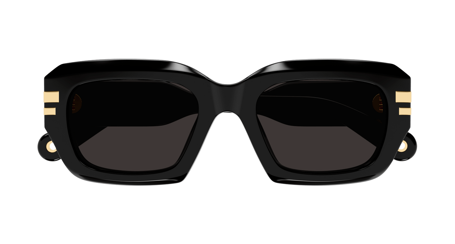 CHLOÉ CH0256S 001 53