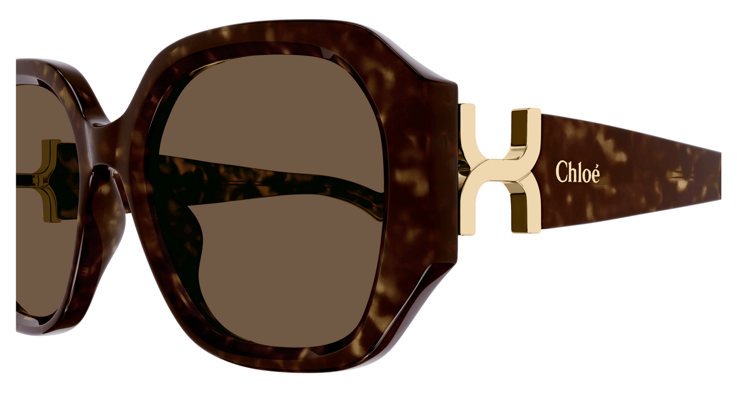 CHLOÉ CH0236S 002 56