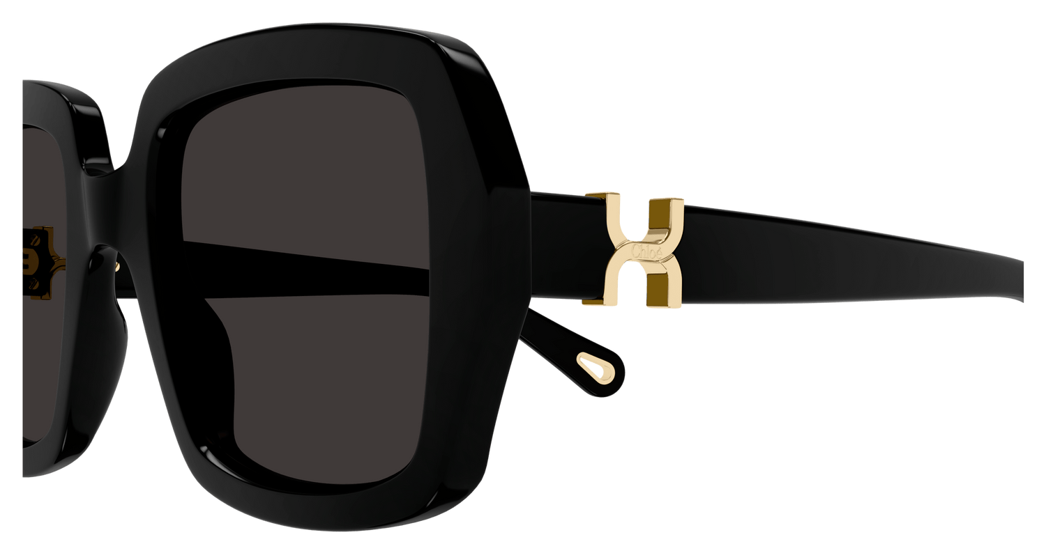 CHLOÉ CH0301S 001 52