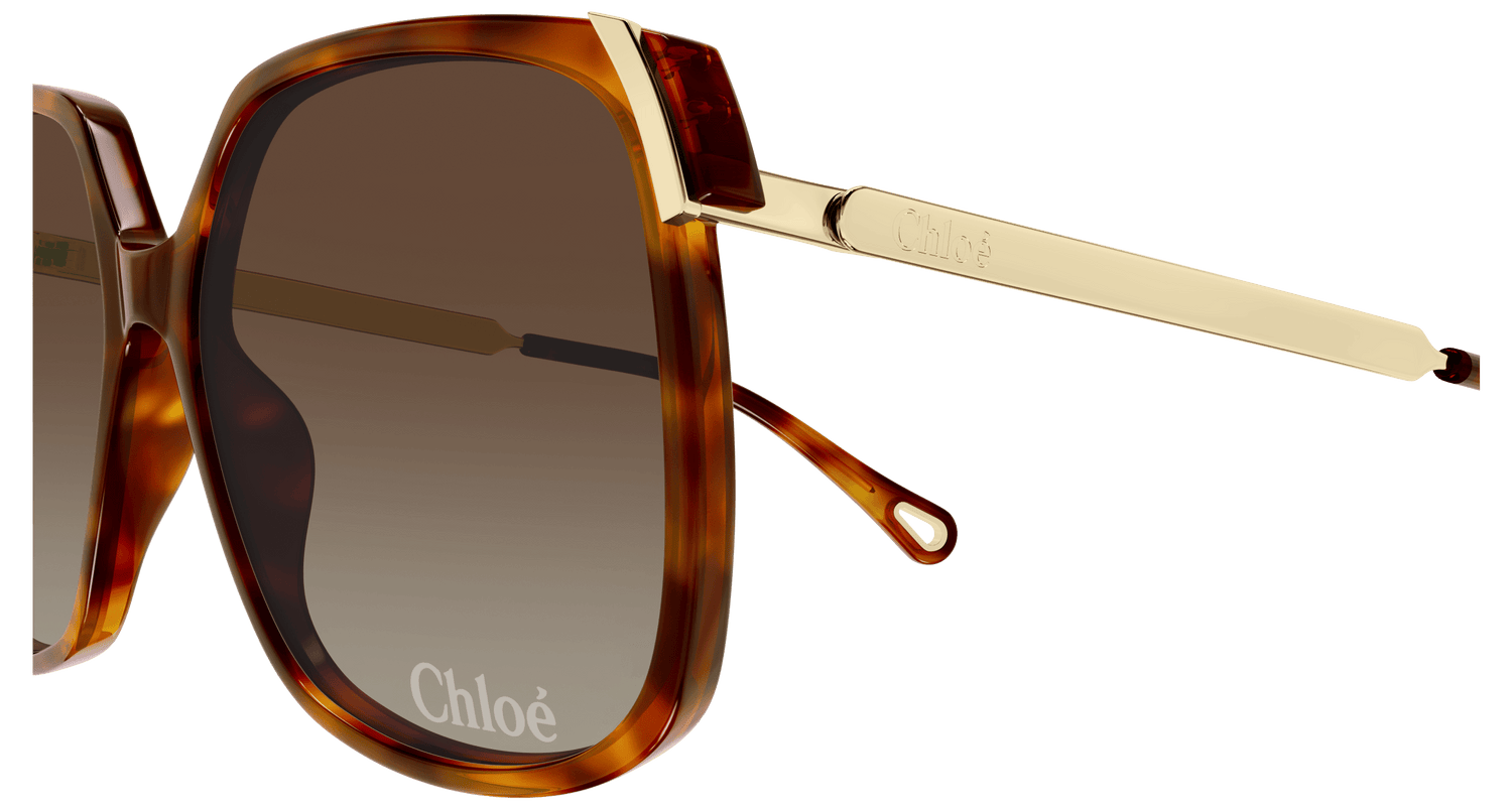 CHLOÉ CH0286S 002 60