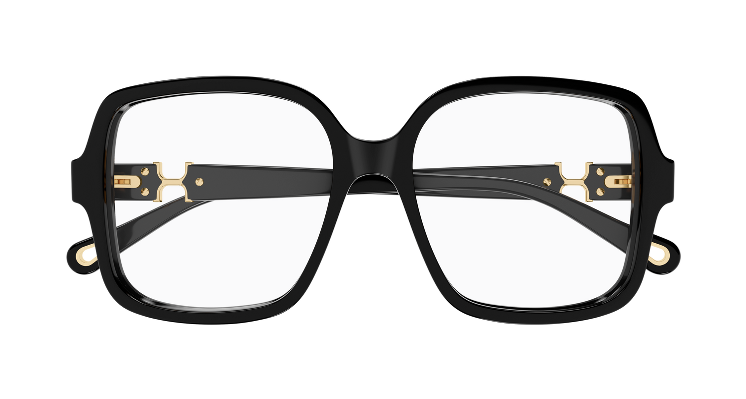 CHLOÉ CH0335O 001 54