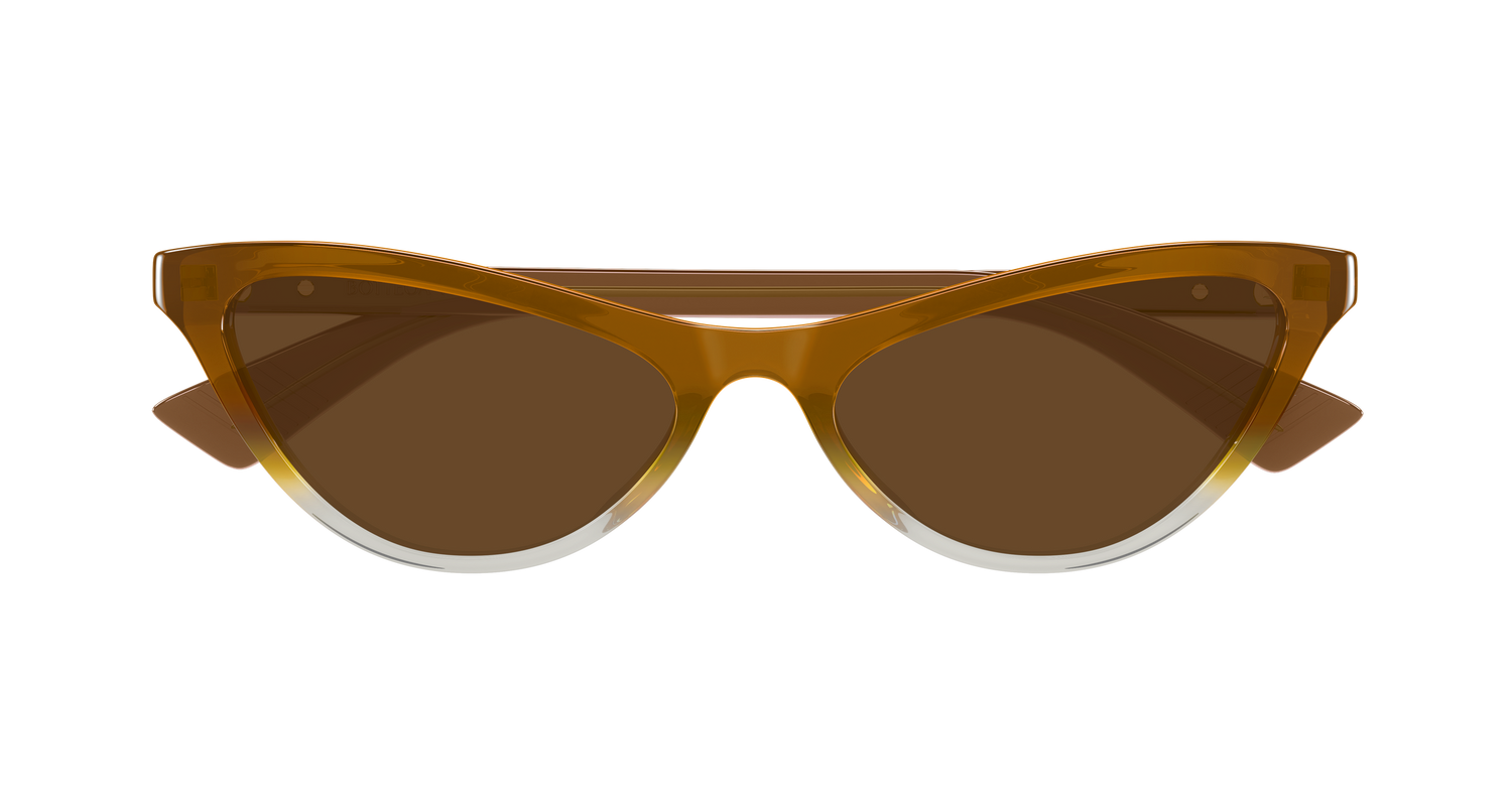 Bottega Veneta BV1414S 004 56