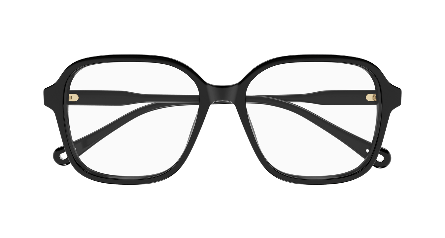 CHLOÉ CH0317OA 001 54