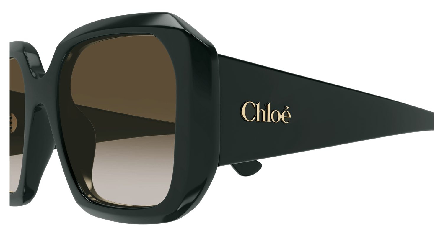 CHLOÉ CH0300S 003 54