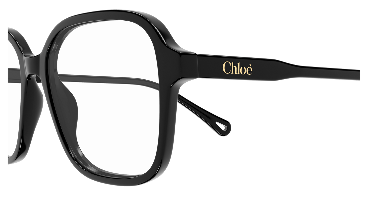 CHLOÉ CH0317OA 001 54