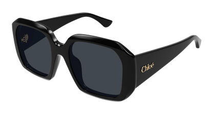 CHLOÉ CH0300S 001 54