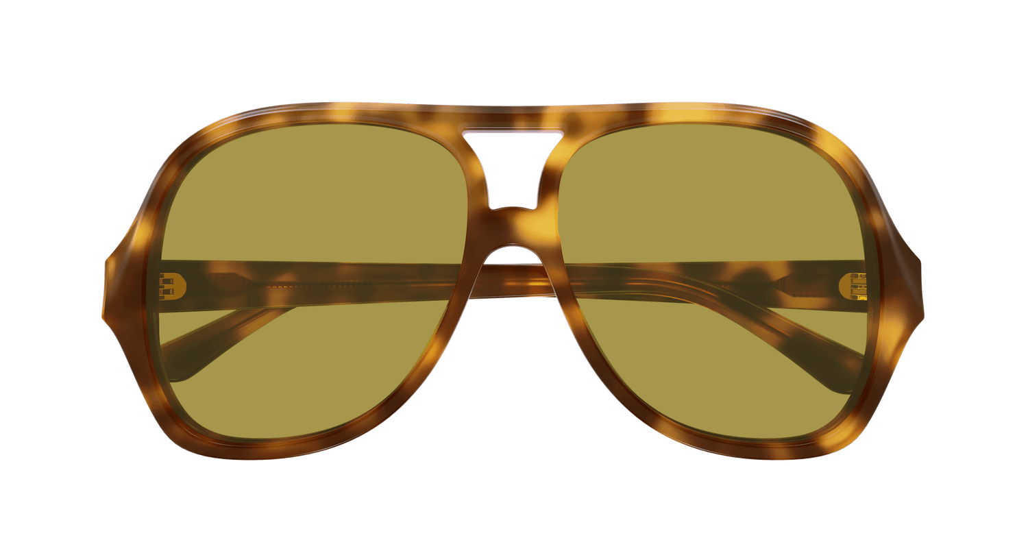 CHLOÉ CH0289S 003 58