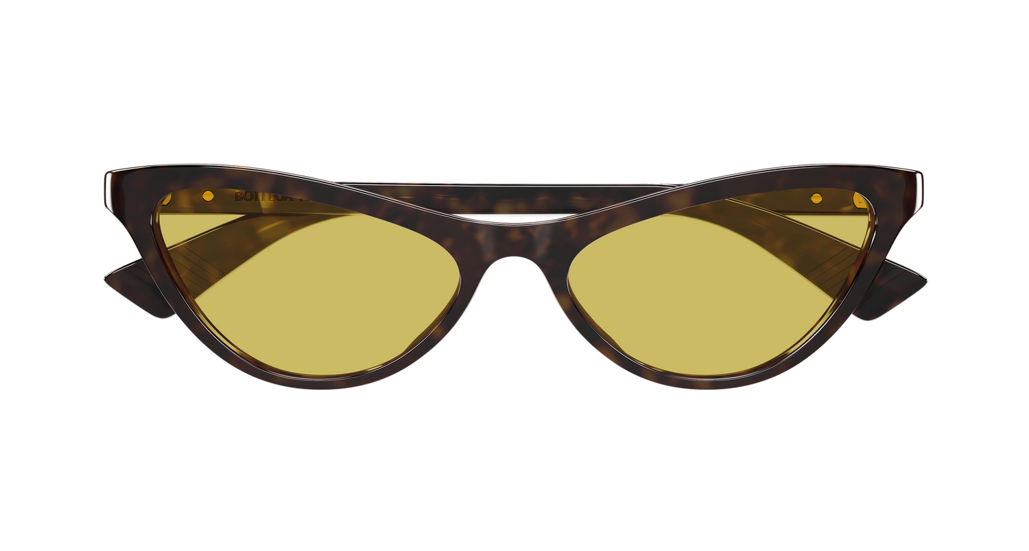 Bottega Veneta BV1414S 002 56