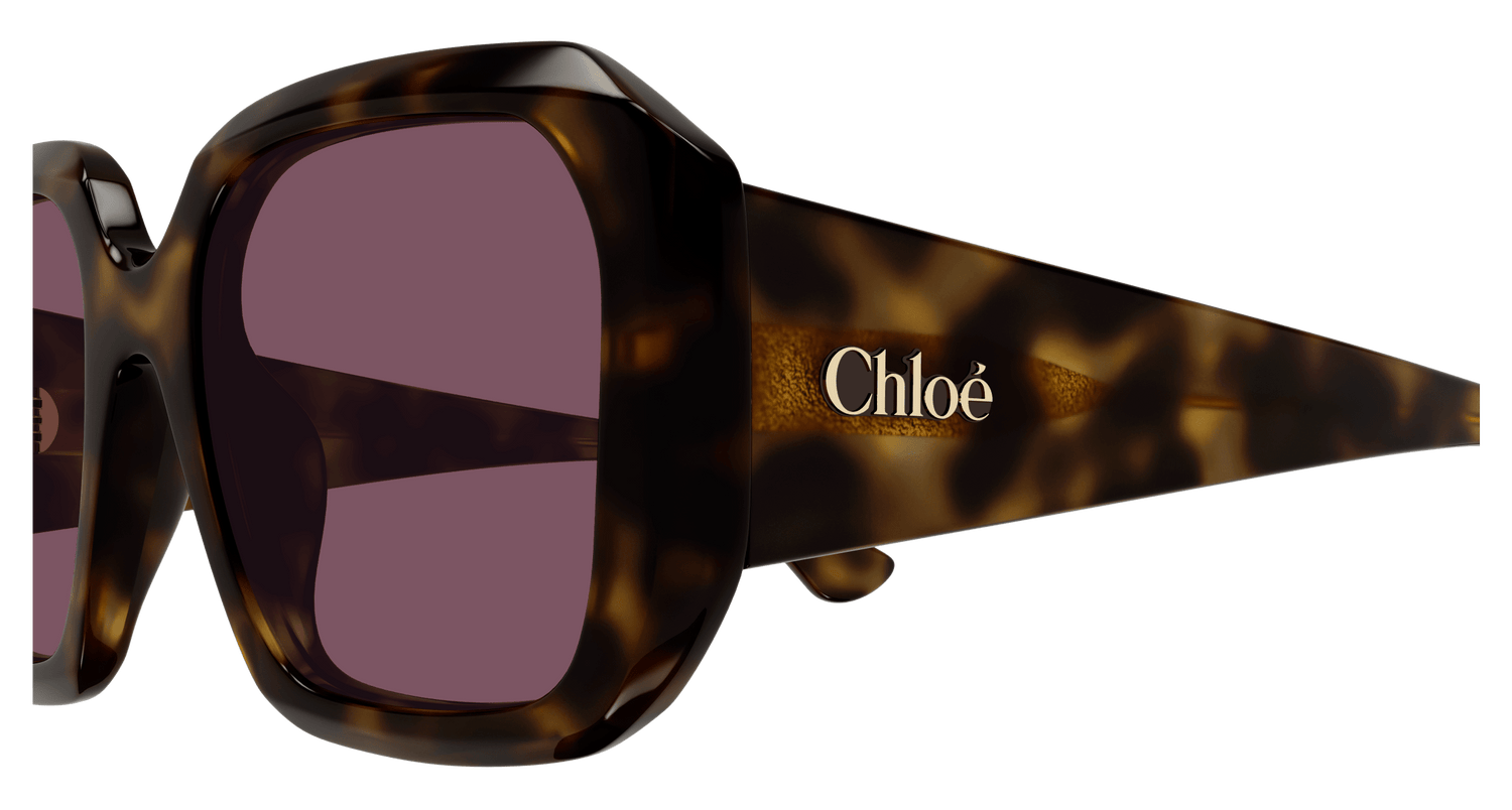 CHLOÉ CH0300S 002 54