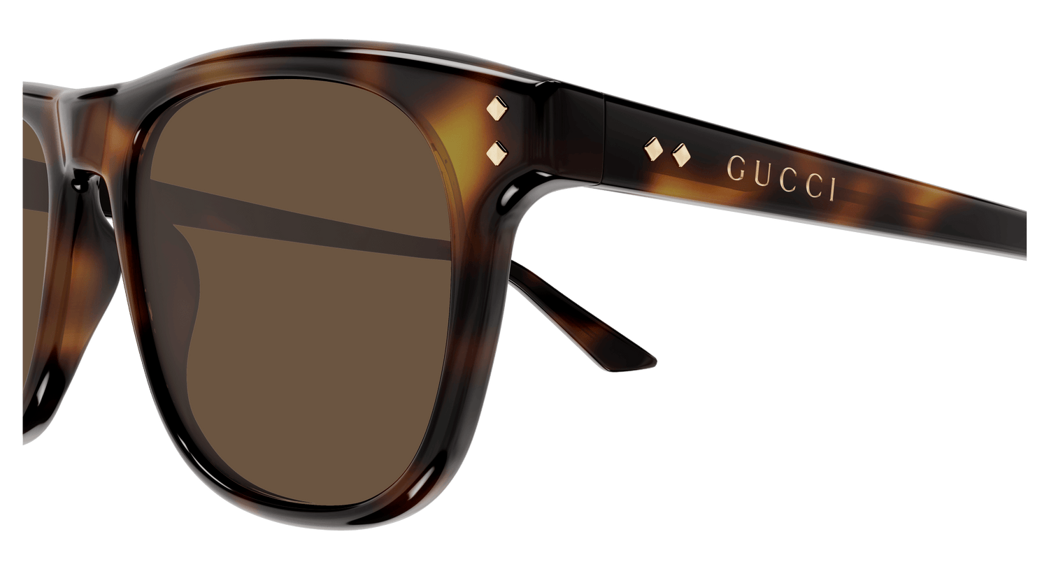 GUCCI GG1893S 002 53