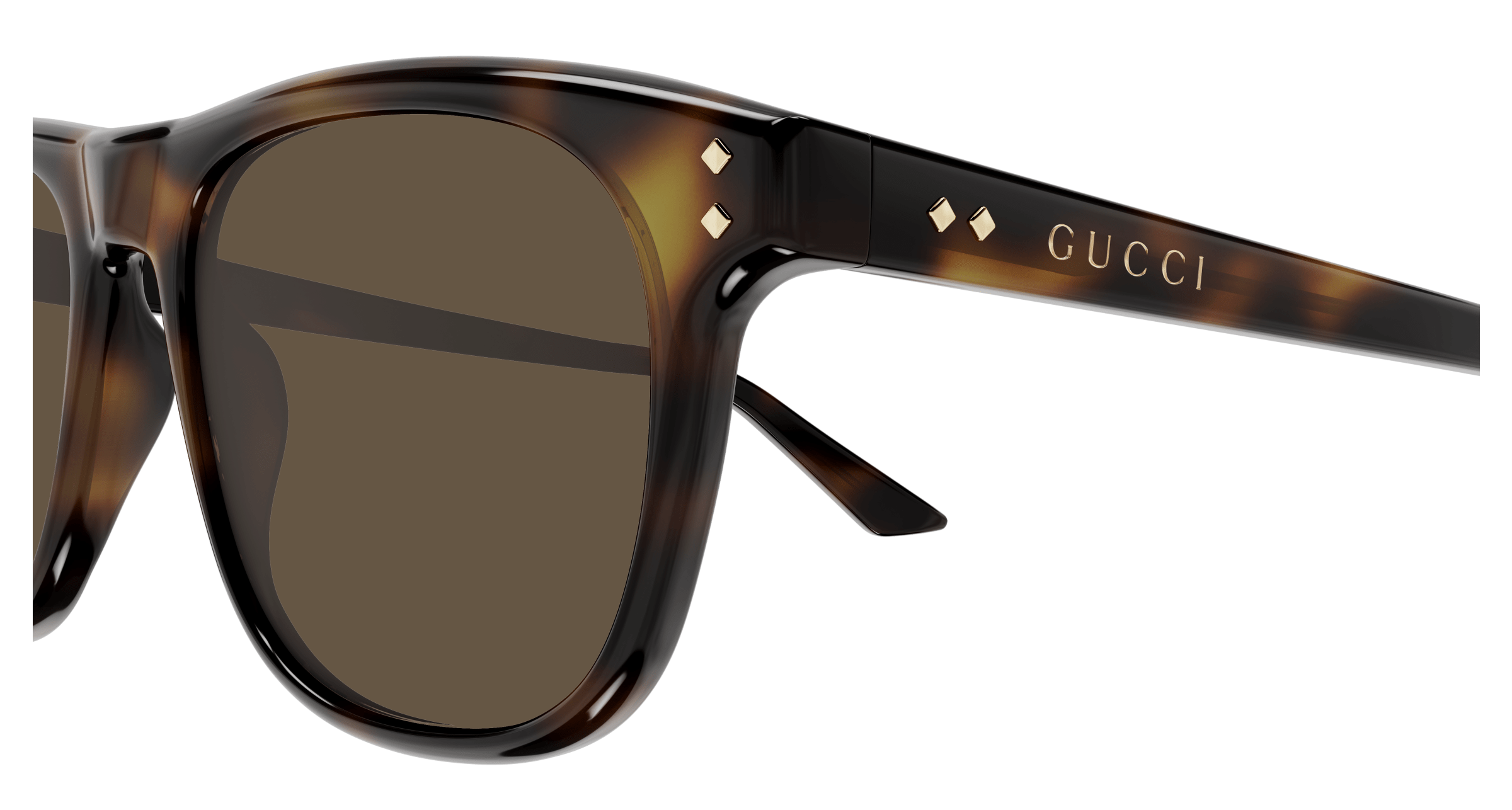 GUCCI GG1893S 002 53