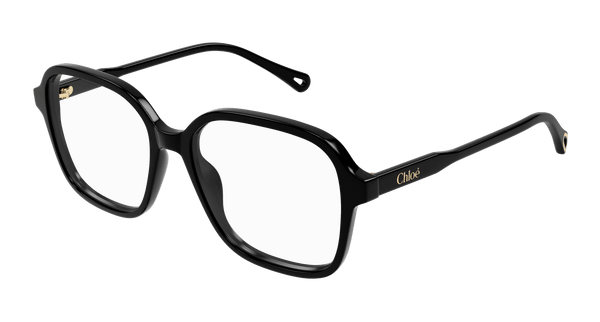 CHLOÉ CH0317OA 001 54