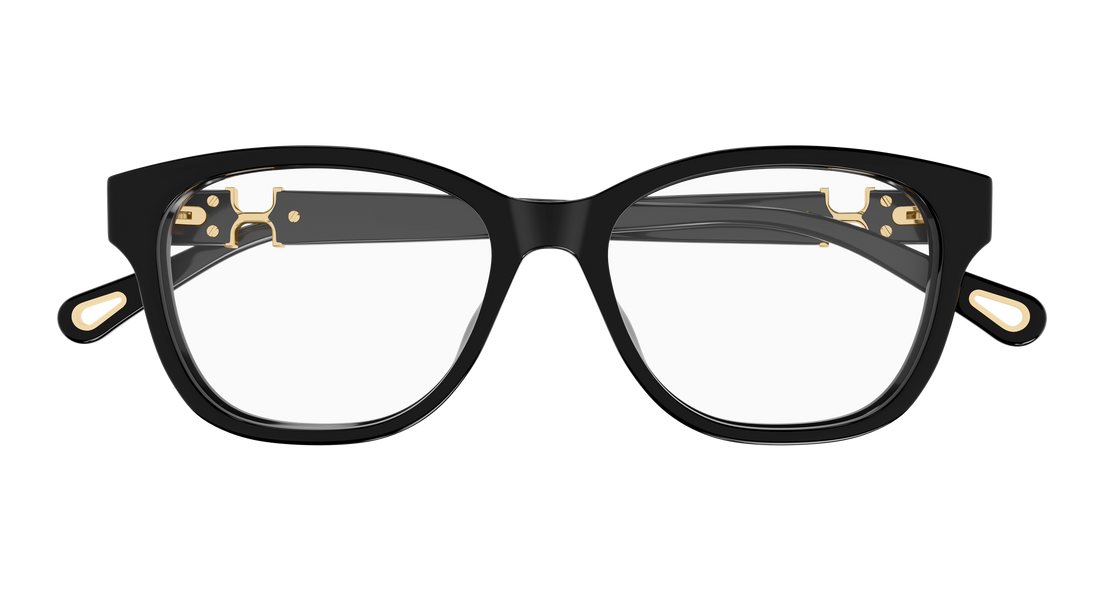 CHLOÉ CH0336OA 001 53