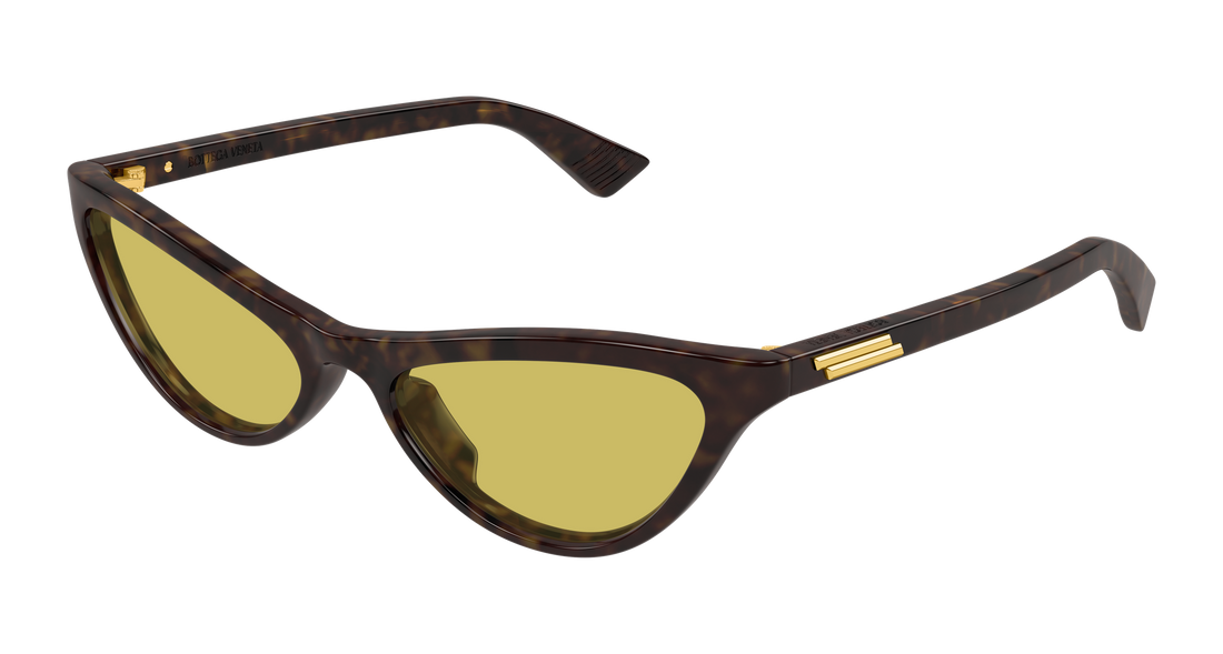 Bottega Veneta BV1414S 002 56